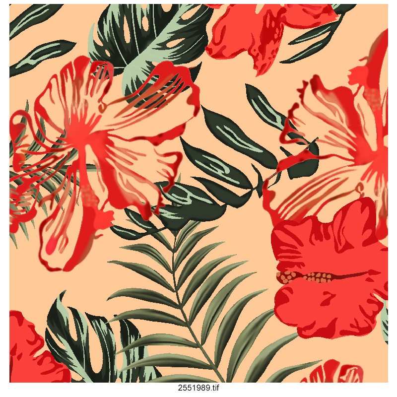 latesh-leaf-design