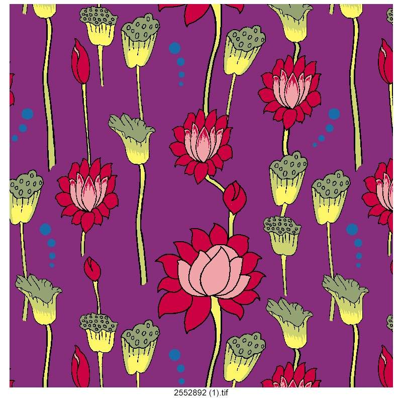 Pichvai-allover-design