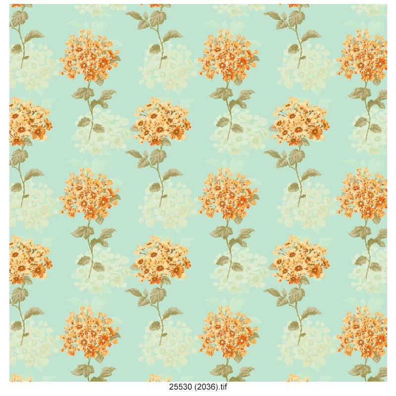 Latest-Flower-Test-Allover-Design