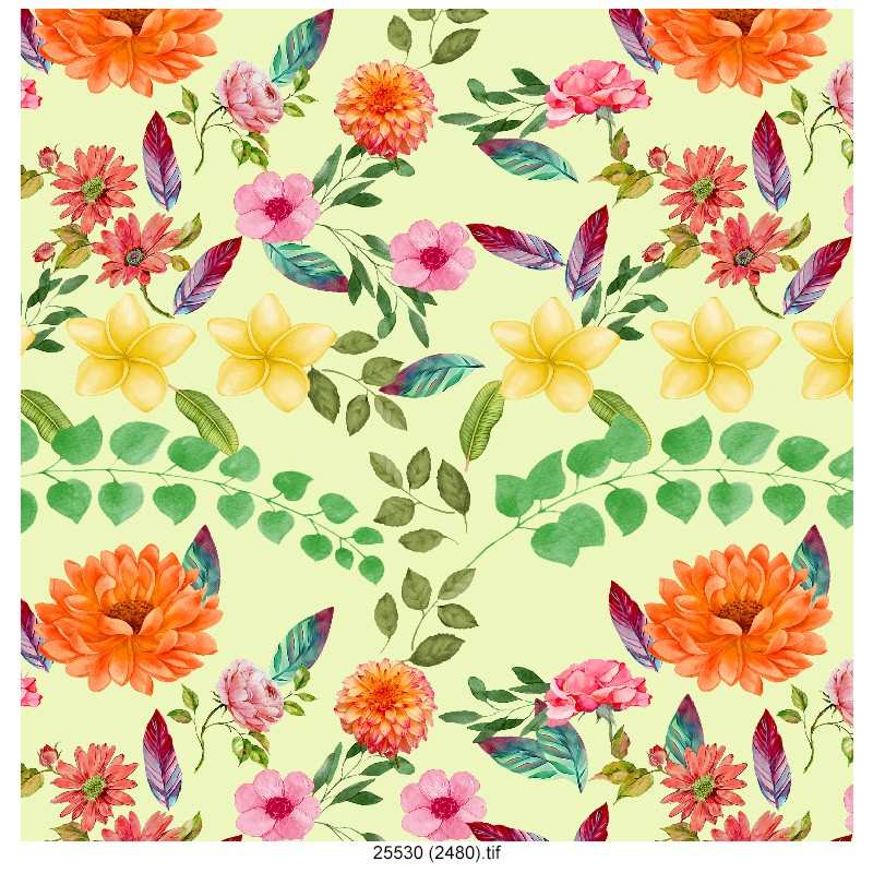 best-water-colour-flower-test