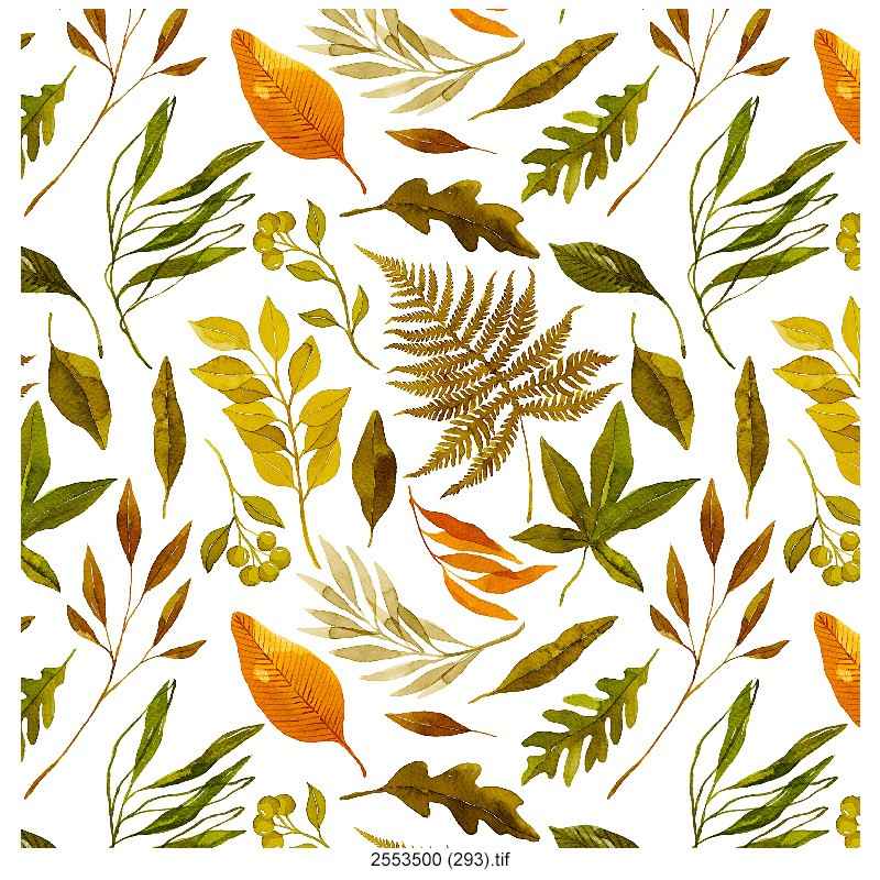 LEATESH-LEAF--DESIGN