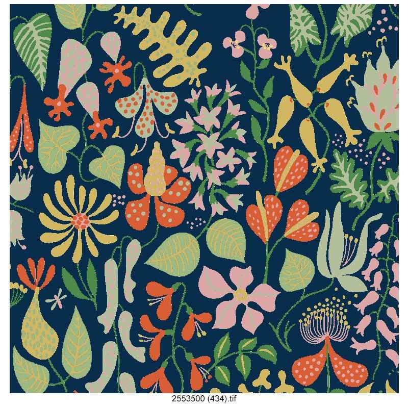 latesh-leaf-design