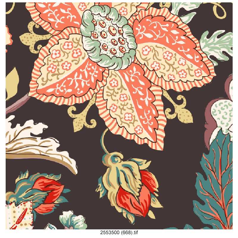 latesh-Kalamakari-design