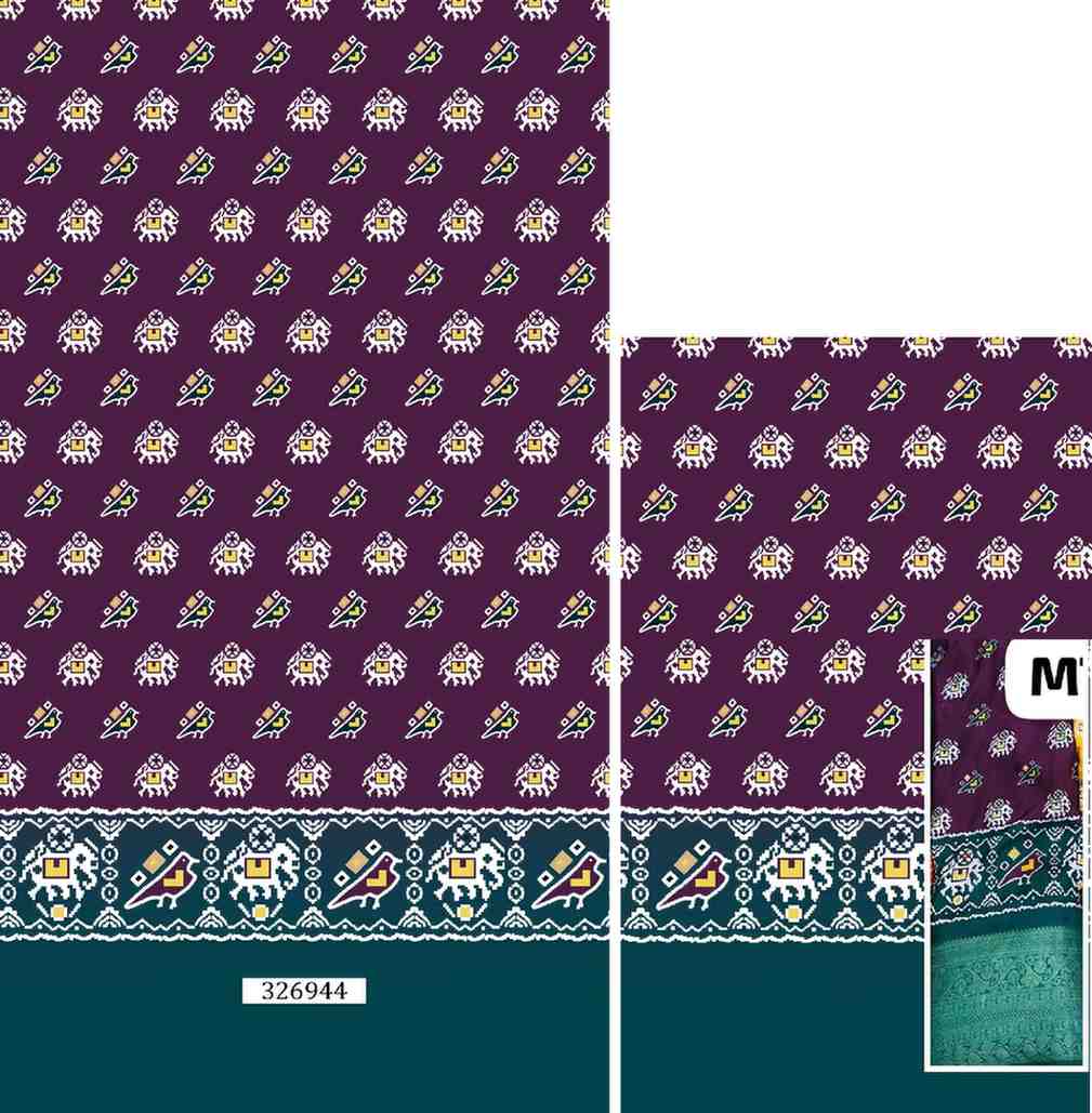 Trening-Patola--Daman-Design