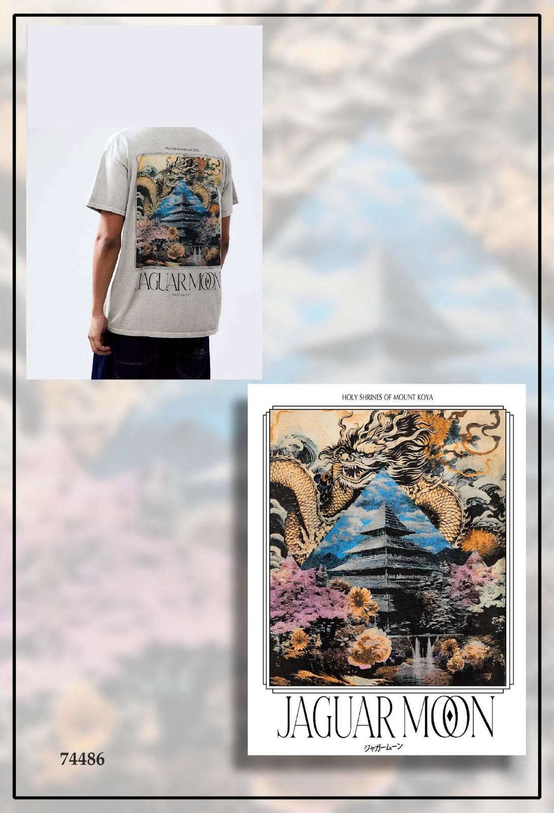 Fancy-T-shirt-foreign-models