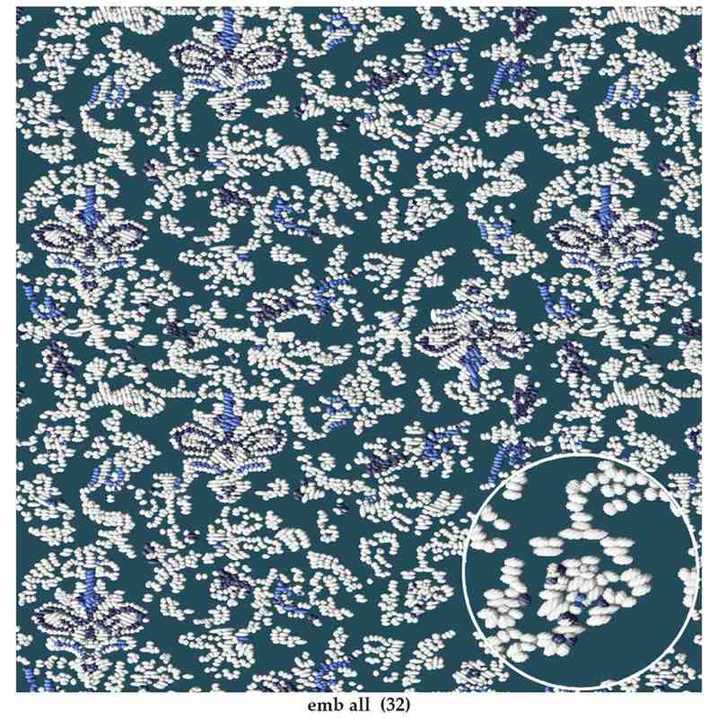 Embroidery-effect-allover
